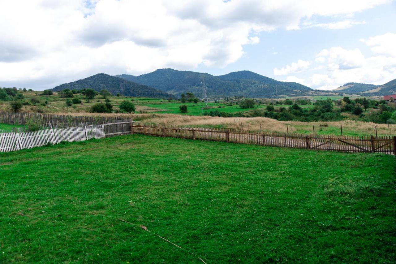 Садиба Кичера Gold Mizhhirya (Transcarpathia) Exterior foto